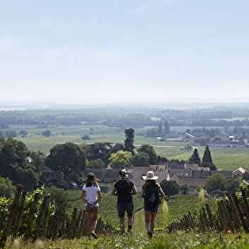 GEVREY NUITS TOURISME - GEVREY-CHAMBERTIN
