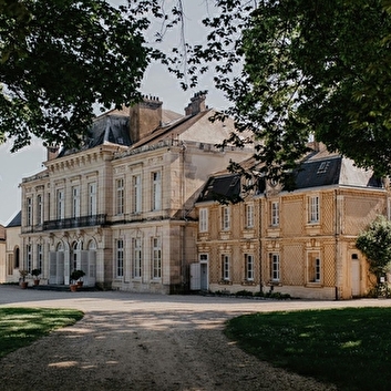 DOMAINE DU CHATEAU D'ARCELOT - ARCEAU