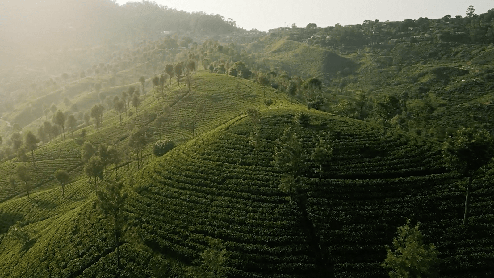 EMA EVENTS - AGENCE RECEPTIVE 