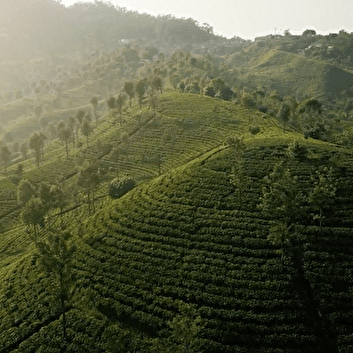 EMA EVENTS - AGENCE RECEPTIVE  - DIJON