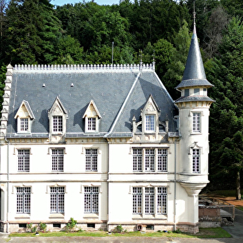 Château de la Rosemontoise - VESCEMONT