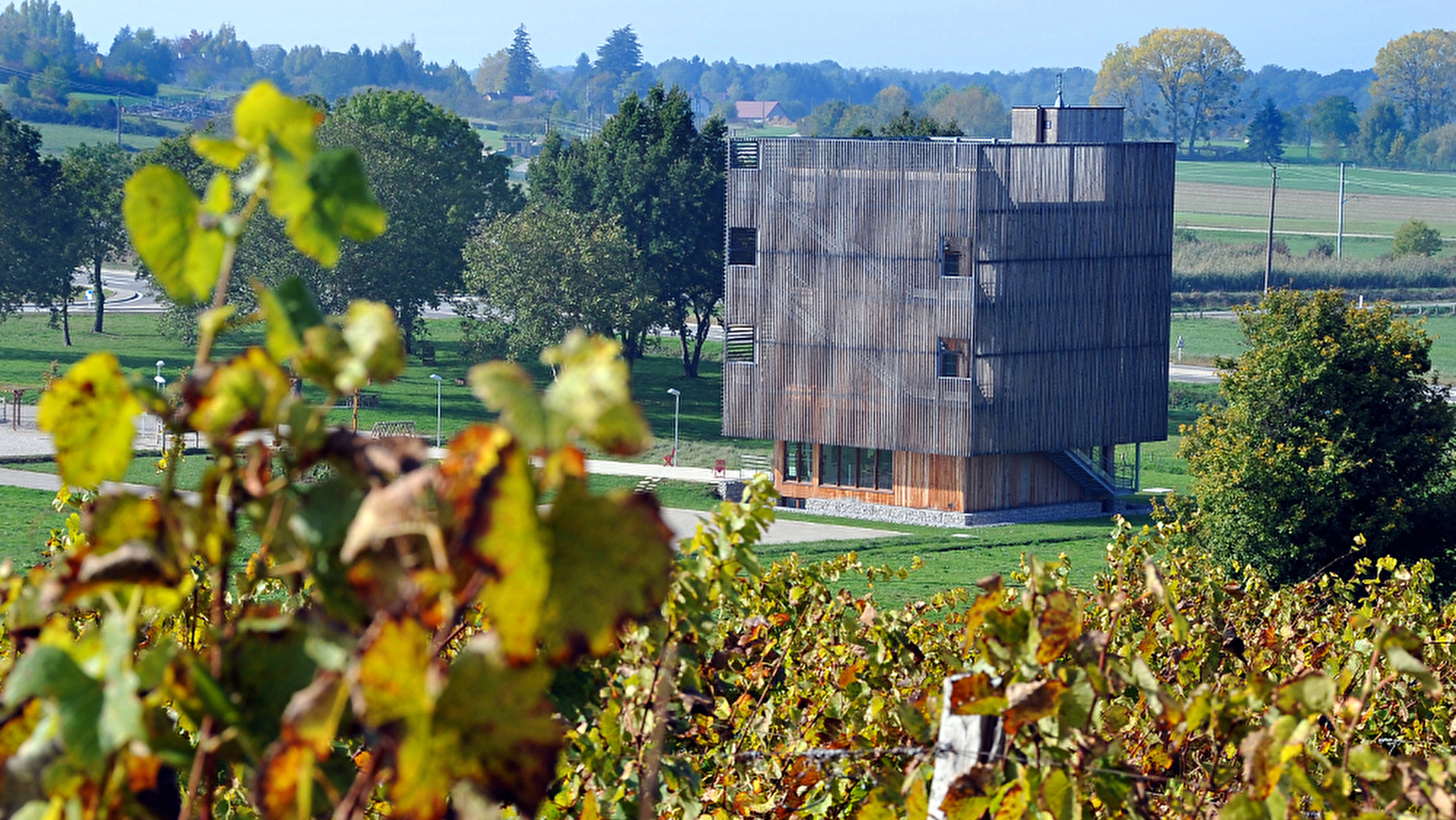 LA CABORDE, AIRE VITI-CULTURELLE