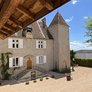 CHATEAU DE CHATENAY - SANCE