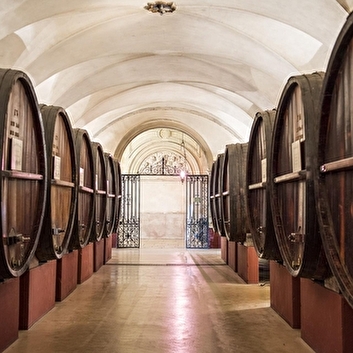 CAVES PATRIARCHE - BEAUNE