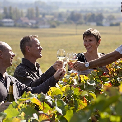 ÉCOLE DES VINS DE BOURGOGNE