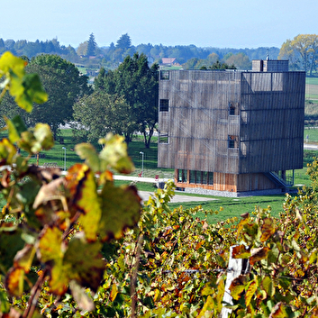 LA CABORDE, AIRE VITI-CULTURELLE - BEAUFORT-ORBAGNA