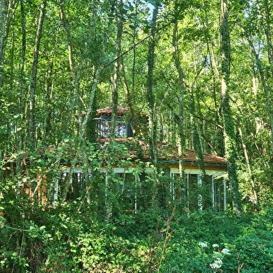 Ô SAVEUR DE L'INSTANT