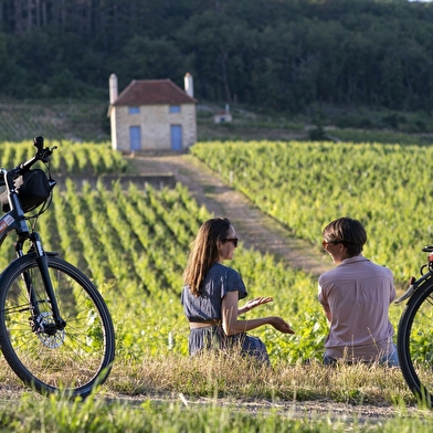 ÉCOLE DES VINS DE BOURGOGNE