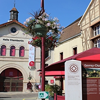 HALLE CHAMBERTIN - GEVREY-CHAMBERTIN