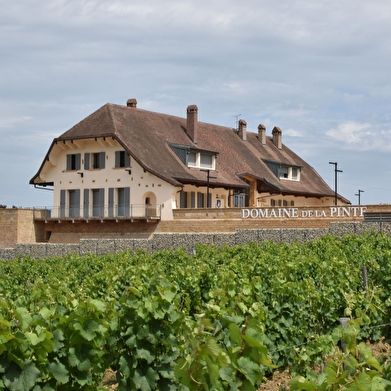 DOMAINE DE LA PINTE